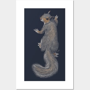 Gray Squirrel Posters and Art